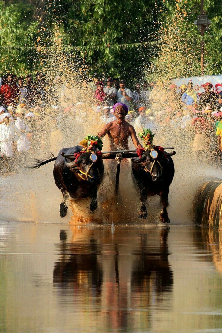 Professional Tour Guide Mangalore